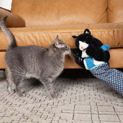 Interactive Cat Wrestling Glove