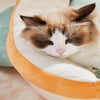 Cute Triangular Shape Pet Bed - Soft Cat & Small Dog Mat