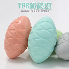 Dog Football Chew Toy