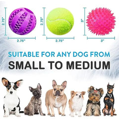 Pacific Pups 17-Piece Dog Toy Bundle