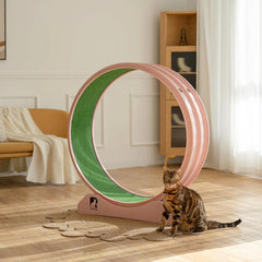 Cat Exercise Wheel with Carpeted Runway