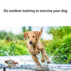 Pet Dog Training Fake Duck