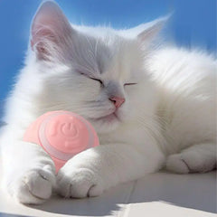 Interactive Smart Sensor Dog Ball