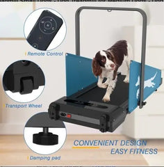 Folding Dog Treadmill