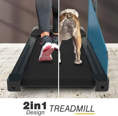 Folding Dog Treadmill