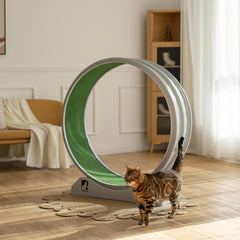 Cat Exercise Wheel with Carpeted Runway