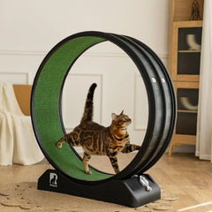 Cat Exercise Wheel with Carpeted Runway