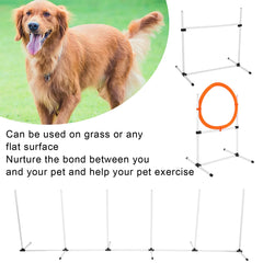 Dog Jumps Set Pet Training Equipment