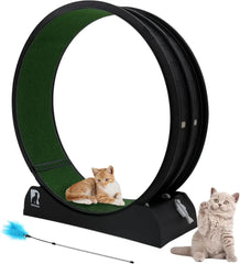 Cat Exercise Wheel with Carpeted Runway
