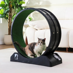 Cat Exercise Wheel with Carpeted Runway