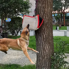 Durable Dog Bite Sleeve & Tug Set