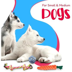 Pacific Pups 17-Piece Dog Toy Bundle