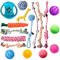Pacific Pups 17-Piece Dog Toy Bundle