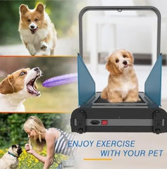 Folding Dog Treadmill