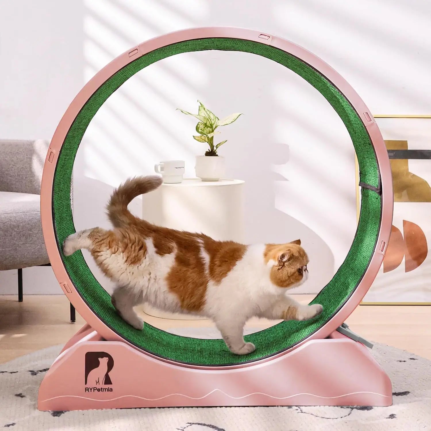 Cat Exercise Wheel with Carpeted Runway