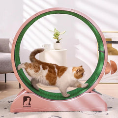 Cat Exercise Wheel with Carpeted Runway