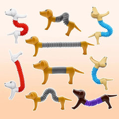 4Pcs Dog Telescopic Tubes – Sensory Fidget Toys for Kids & Toddlers