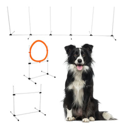 Dog Jumps Set Pet Training Equipment