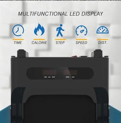 Folding Dog Treadmill