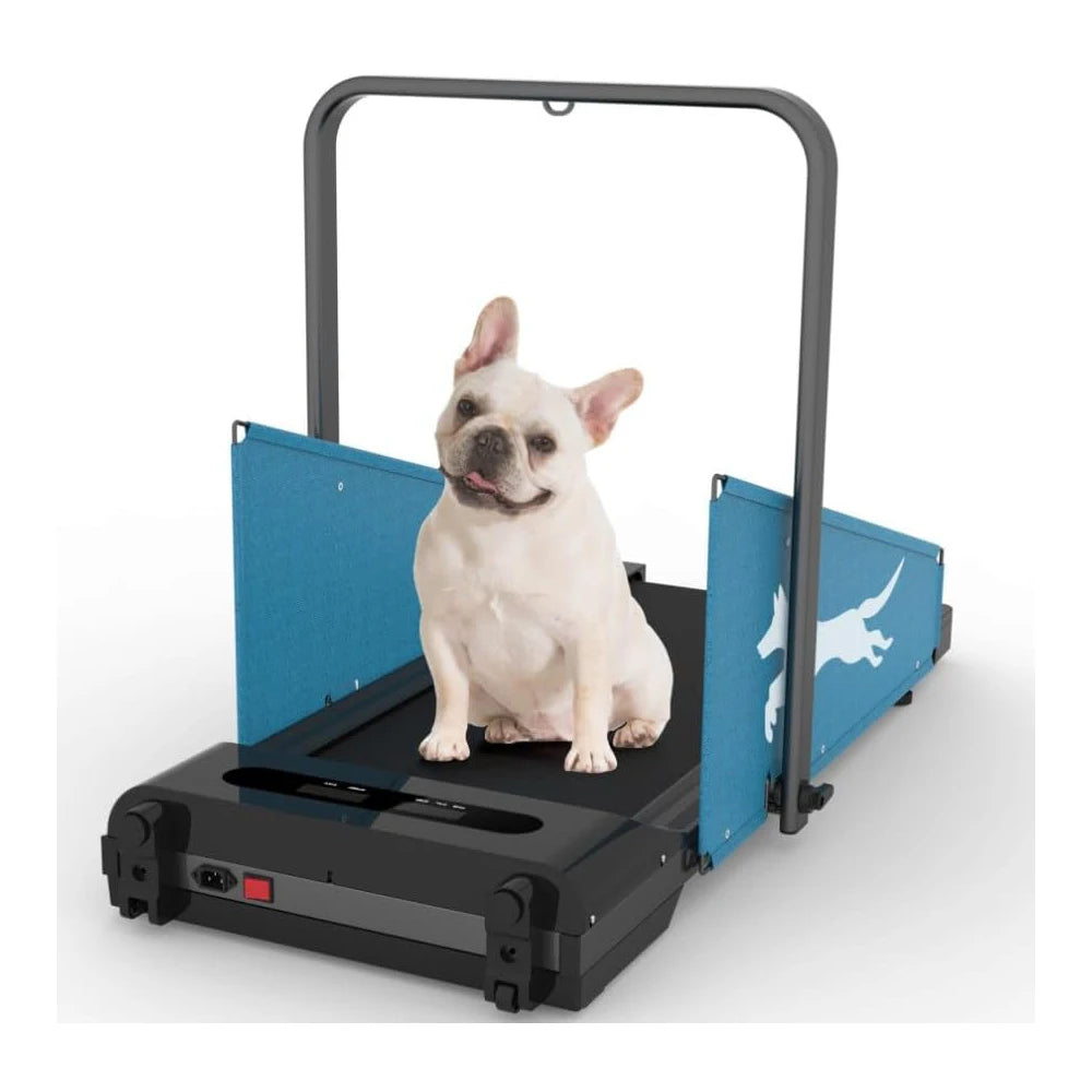 Folding Dog Treadmill