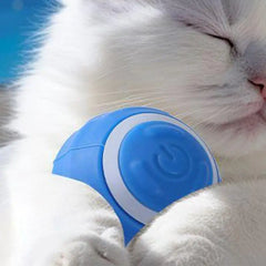 Interactive Smart Sensor Dog Ball