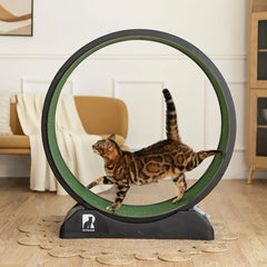 Cat Exercise Wheel with Carpeted Runway